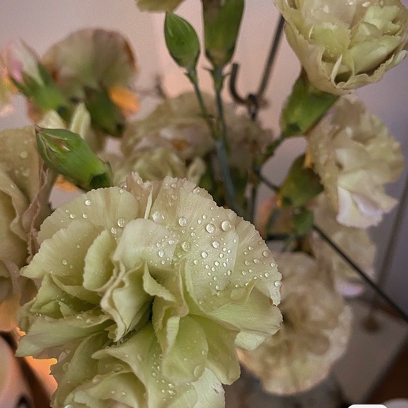 Boy Flap Bag Fur with Leather Old Medium - Picture 2 of 12